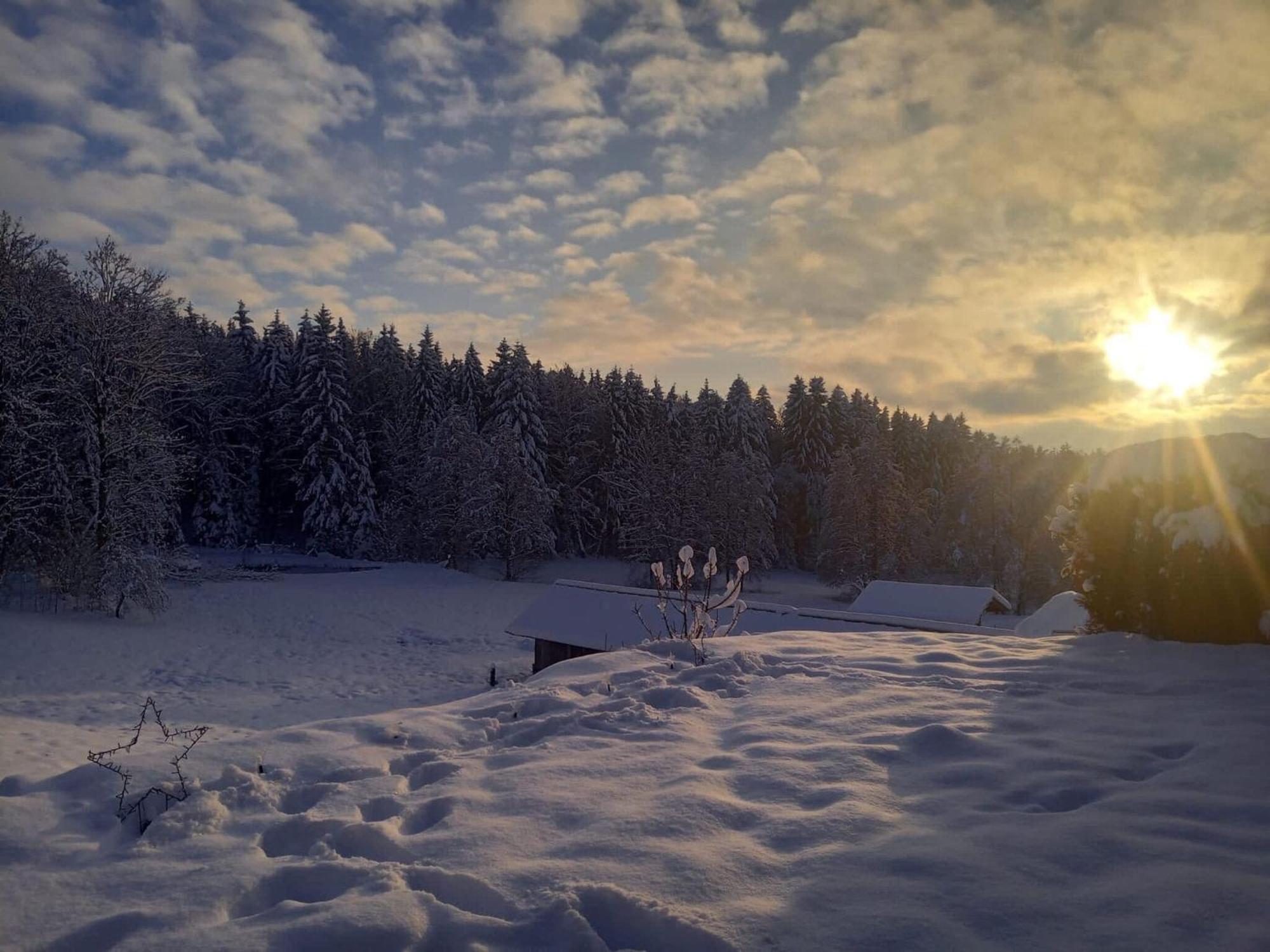 Ferienwohnung Im Bayerischen Wald Mit Terrasse Viechtach Exteriör bild