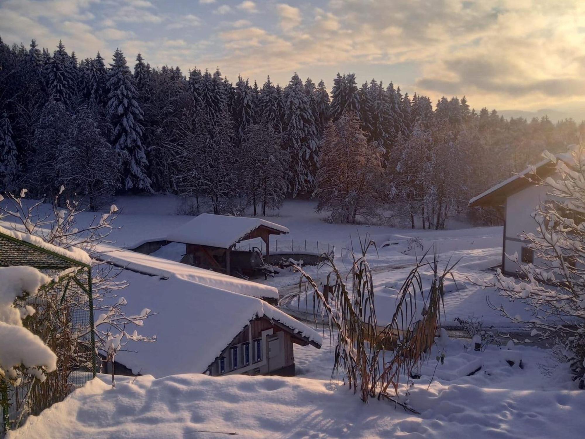 Ferienwohnung Im Bayerischen Wald Mit Terrasse Viechtach Exteriör bild